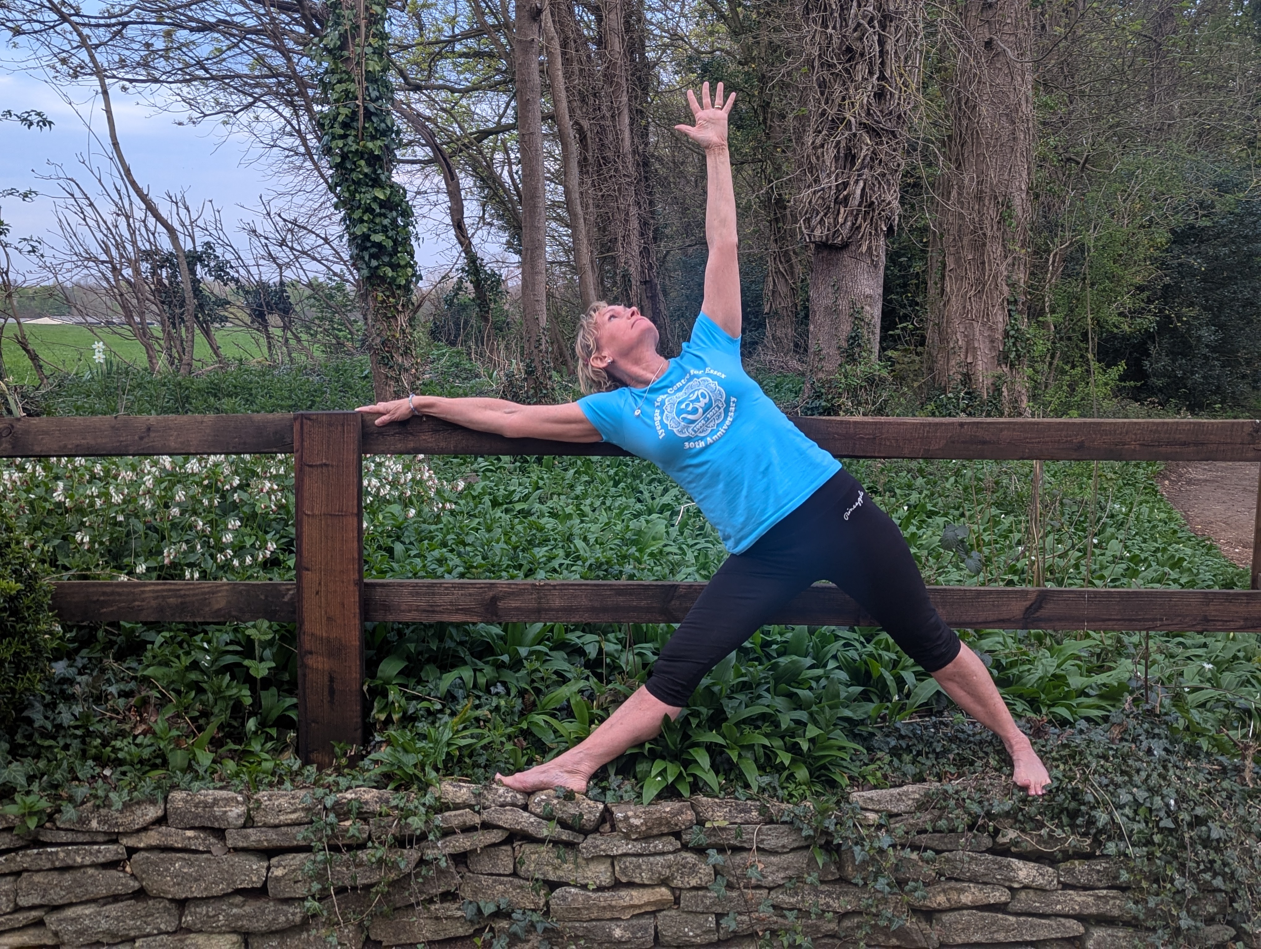 Iyengar Yoga props